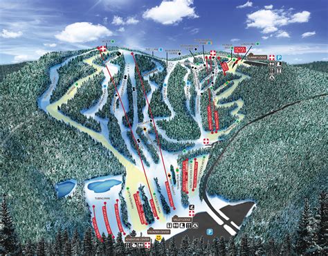 Blue mountain ski - 
